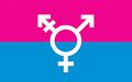 A transgender flag created by Michelle Lindsay, and used for some events in the the Ottawa-Gatineau region of Canada since 2010.[3]