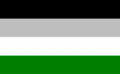 Another common androsexual/androphilic pride flag, with stripes of black, grey, white and green.